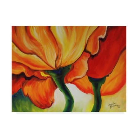 Marcia Baldwin 'Golden Poppy Abstract' Canvas Art,24x32
